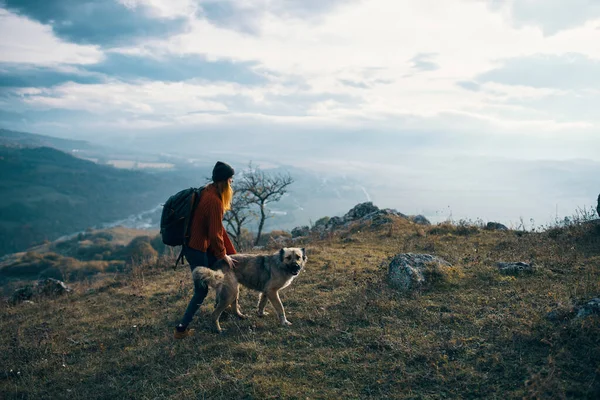 Mujer Excursionista Con Perro Naturaleza Viaje —  Fotos de Stock