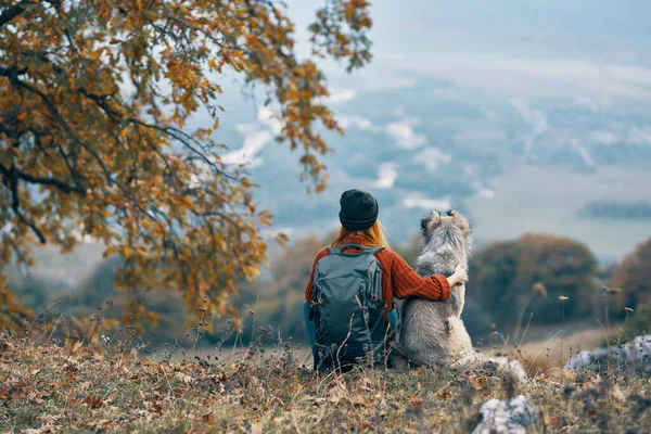 Vrouw Met Hond Zittend Grond Natuur Bergen Hoge Kwaliteit Foto — Stockfoto