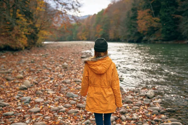 Vrouw Wandelt Langs Rivier Het Herfstbos — Stockfoto