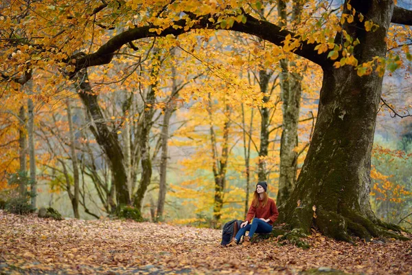 Kobieta Dżinsach Siedzi Pod Drzewem Jesiennym Lesie — Zdjęcie stockowe