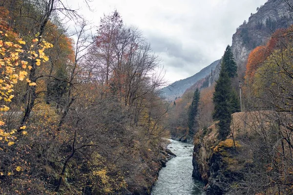 Montanhas outono floresta rio paisagem natureza viagens — Fotografia de Stock