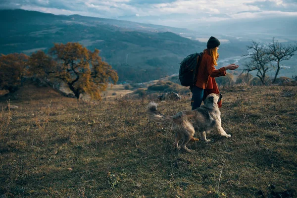 Wanderinnen neben Hundeauslauf im Herbst — Stockfoto