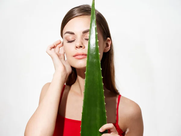 Mulher com grande folha de aloés pele clara cosmetologia vermelho t-shirt luz fundo — Fotografia de Stock