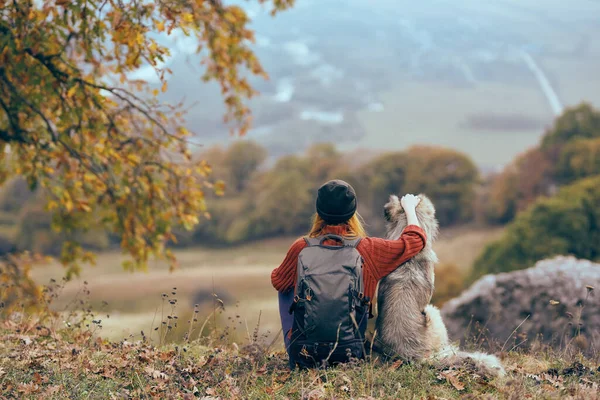 Turista Junto Perro Las Montañas —  Fotos de Stock