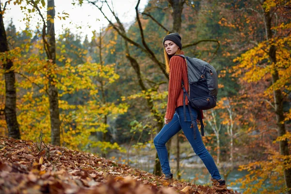 Vrouw wandelaar wandelen in het park in de herfst natuur hoog bomen landschap bladeren model — Stockfoto