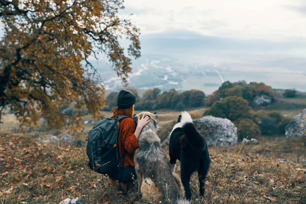 Mujer excursionista perros viaje amistad naturaleza paisaje —  Fotos de Stock