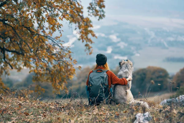 Mujer con perro sentarse en el suelo en la naturaleza montañas —  Fotos de Stock