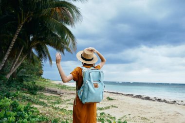 a traveler with a cutter and a hat walks on the island near the palm trees