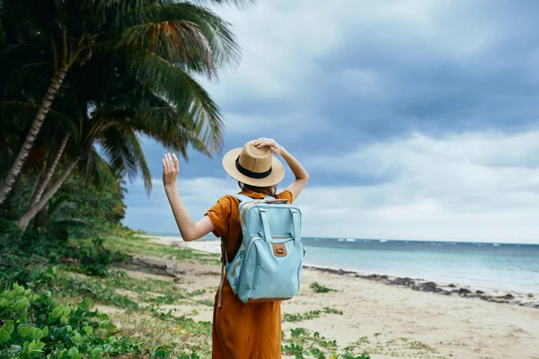 Un viajero con un cortador y un sombrero camina por la isla cerca de las palmeras —  Fotos de Stock