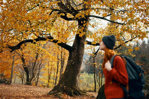 Vrouw Een Trui Wandelingen Het Park Herfst — Stockfoto