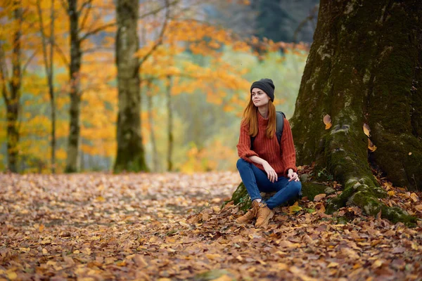 Wanderin mit Rucksack sitzt unter Baum im Herbstwald — Stockfoto