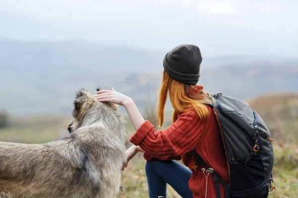 Kvinna vandrare bredvid hund berg natur frisk luft resa — Stockfoto