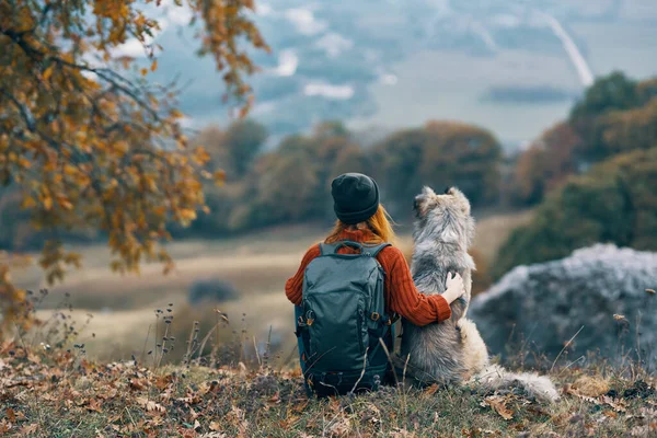 Touristin neben Hund in der Berglandschaft — Stockfoto