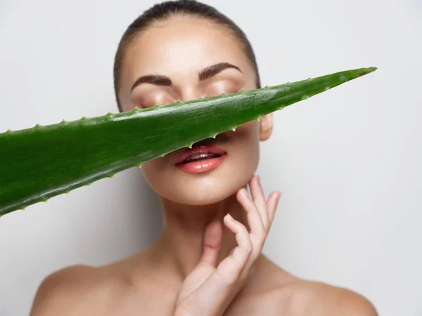 Mulher exercitando ombros segurando folha de aloés verde na frente da pele limpa rosto — Fotografia de Stock