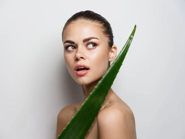 Mulher com folha de aloés verde no fundo luz vista cortada Copiar espaço modelo — Fotografia de Stock