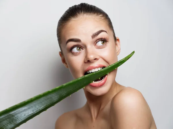 Mujer emocional con hombros desnudos roe una hoja verde sobre un fondo claro —  Fotos de Stock