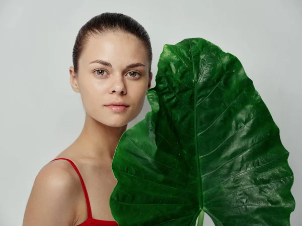 Cosmetología de la piel limpia mujer joven con hoja de palma verde —  Fotos de Stock