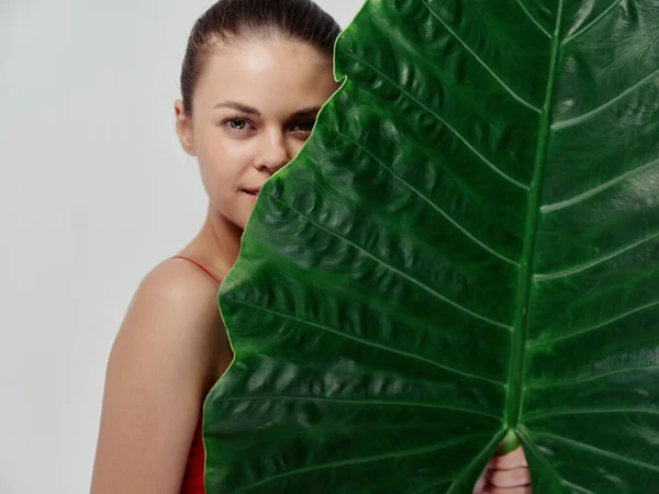 Bonita mujer al lado de hoja verde de palmera sobre fondo claro vista recortada —  Fotos de Stock