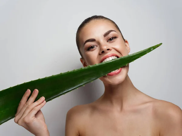 Mulher com dentes brancos como a neve morde folha de aloés verde no fundo luz vista cortada — Fotografia de Stock