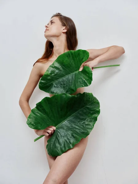 Mujer con cuerpo desnudo y hojas verdes fondo claro —  Fotos de Stock