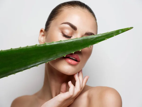 Mulher bonita exercitando ombros segurando folha de aloés verde na frente do rosto cosmetologia pele limpa — Fotografia de Stock