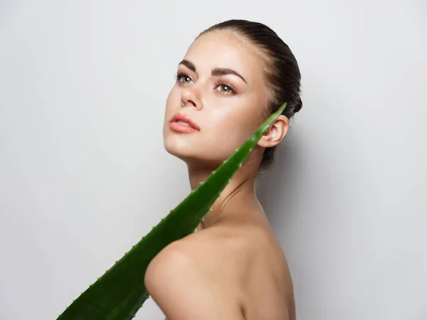 Folha de aloés verde no ombro mulheres nuas e pele clara — Fotografia de Stock