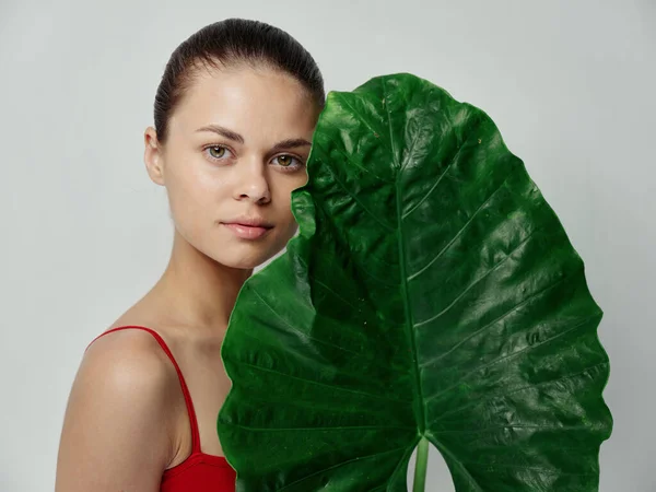 Una mujer con una camiseta roja sobre un fondo claro sostiene una hoja verde en sus manos campo aspecto natural —  Fotos de Stock