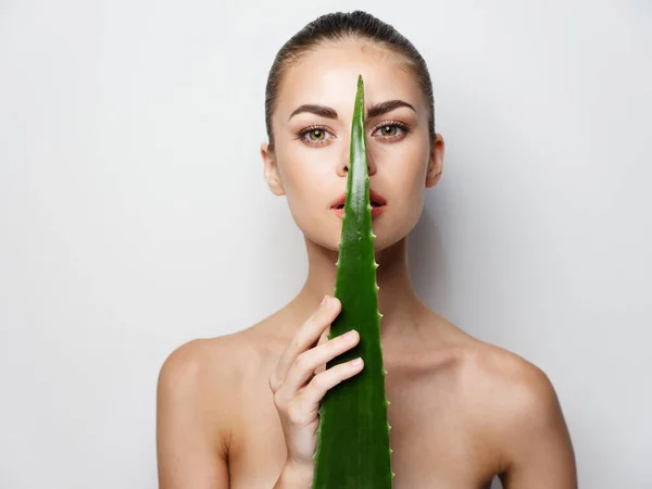 Retrato de una mujer con una hoja verde de aloe sobre un retrato de fondo claro primer plano —  Fotos de Stock