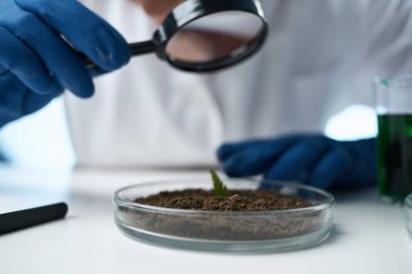Laboratuvar biyolojisi toprak araştırması bilimi