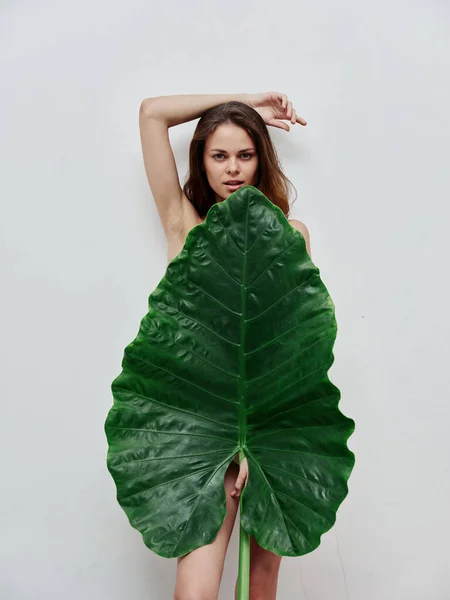 Mujer con cuerpo desnudo se cubre con hoja verde — Foto de Stock