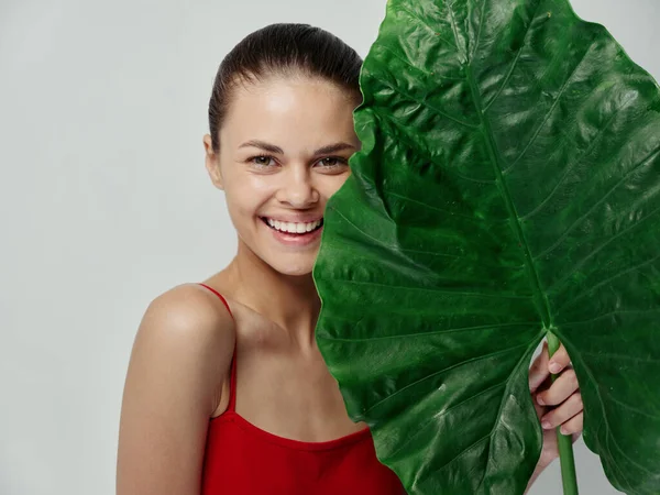 Mulher sorridente em maiô com folha de palma olhar estúdio atraente — Fotografia de Stock