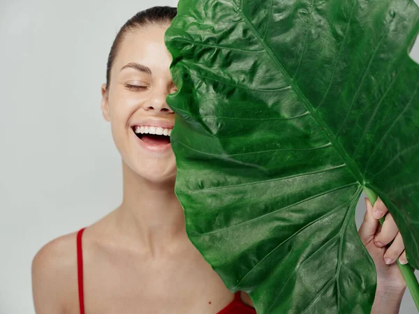 Mutlu kadın temiz cilt kozmetolojisi ve yeşil palmiye yaprağı — Stok fotoğraf