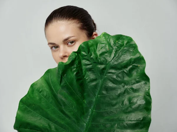 Mujer joven mirada natural hoja verde palmera piel limpia modelo —  Fotos de Stock