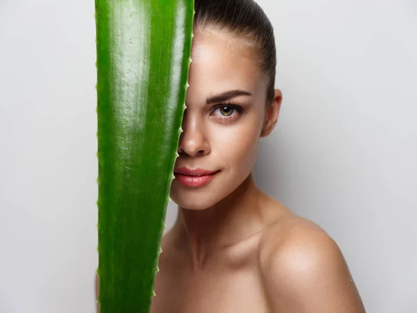 Mulher bonita com folha de aloés verde antes dos olhos cosmetologia pele limpa saúde olhar natural — Fotografia de Stock