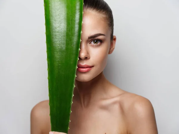 Portret seksownej kobiety z zielonymi liśćmi aloesu gołe ramiona czysta skóra — Zdjęcie stockowe