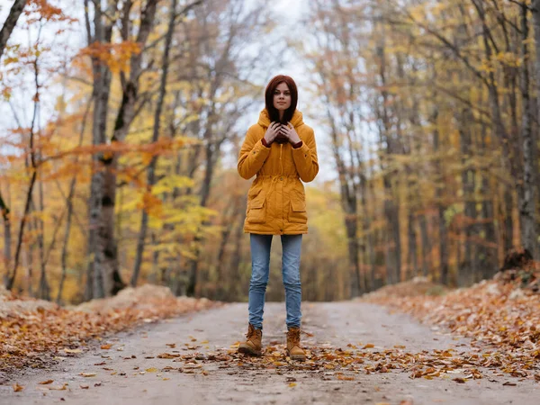 Mulher em casaco amarelo na estrada da floresta viagem folhas de outono — Fotografia de Stock