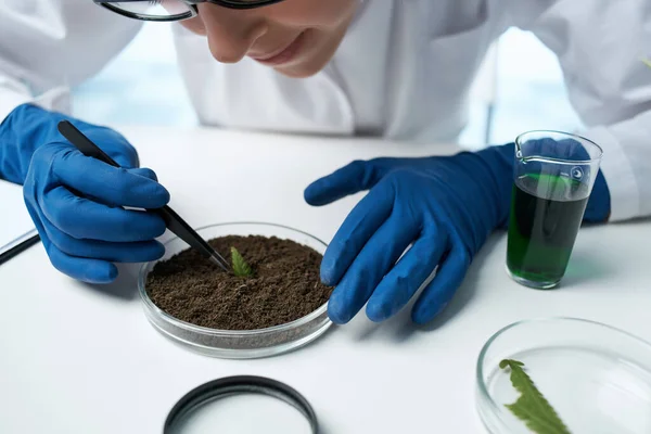 女性实验室助理生物研究和植物生物学 — 图库照片