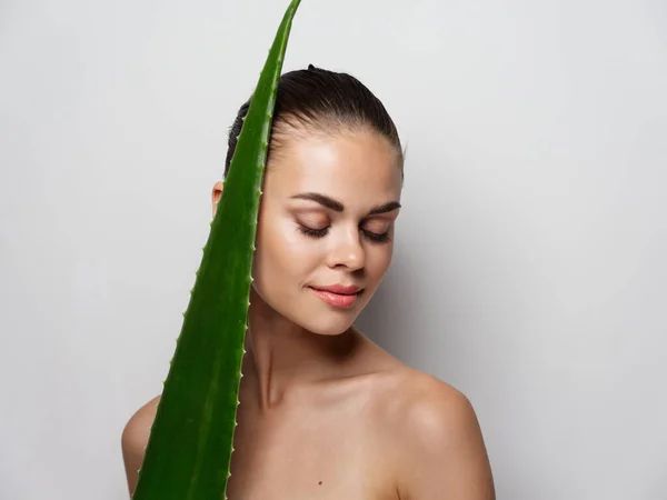 Retrato de mulheres sexy perto da folha de aloés ombros nus modelo de cosmetologia de pele clara — Fotografia de Stock