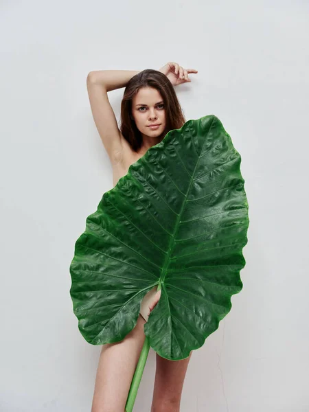 Attraktiv rödhårig kvinna med naken kropp håller palmblad — Stockfoto