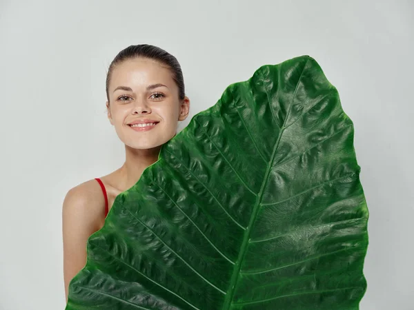 Sonriente mujer cubre cuerpo con hoja de palma sonrisa estudio luz fondo —  Fotos de Stock