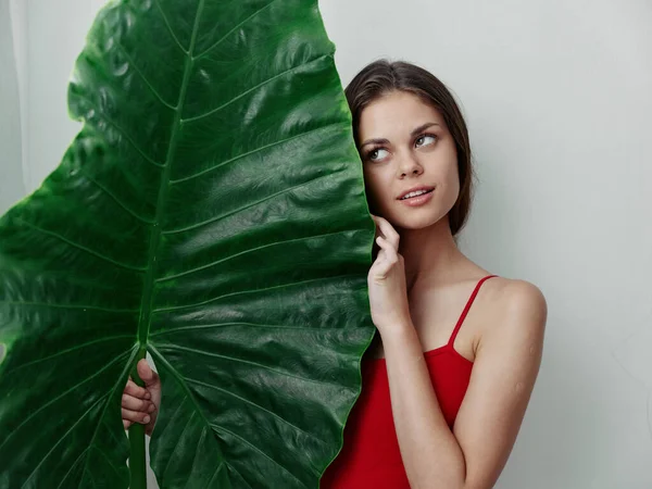 Mujer en traje de baño rojo mirando la hoja de palma verde vista recortada Estudio —  Fotos de Stock