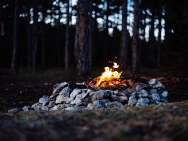 Orman yakınlarında şenlik ateşi yakıldı.