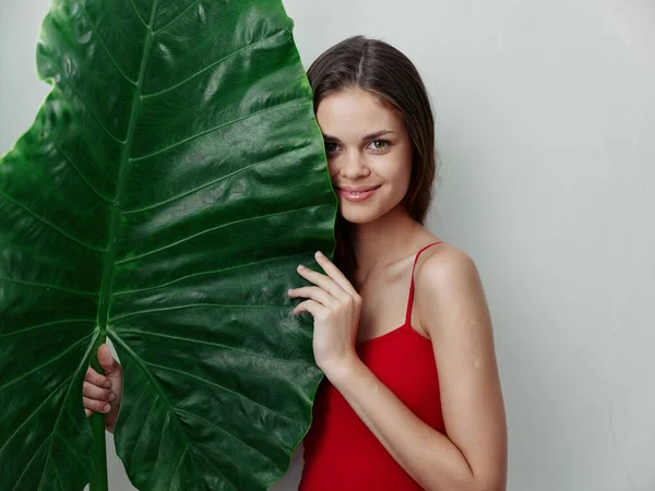 Bonito mulher palma folha exótico vermelho swimsuit luz fundo — Fotografia de Stock