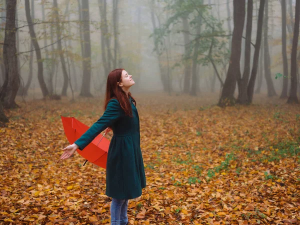 Mulher com guarda-chuva vermelho outono floresta natureza ar fresco — Fotografia de Stock