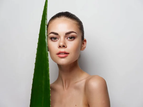 Portrait of sexy women near aloe leaf bare shoulders clear skin cosmetology — Foto de Stock