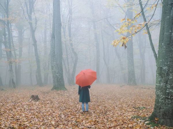 Nő piros esernyő erdei természet köd utazás — Stock Fotó