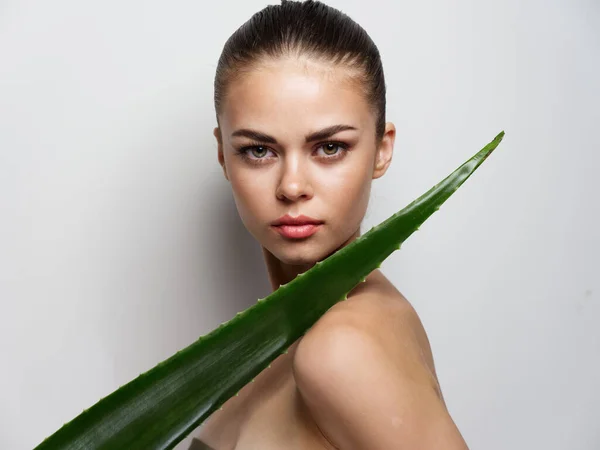 Mulher atraente com ombros nus e pele limpa folha de aloés — Fotografia de Stock