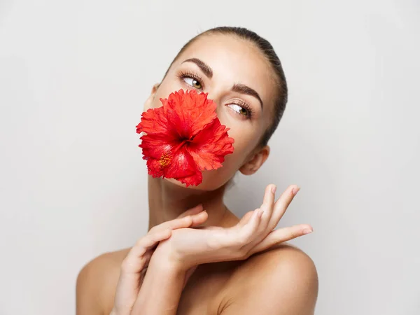 Atractiva mujer con flor roja en la boca cosméticos glamour vista recortada —  Fotos de Stock