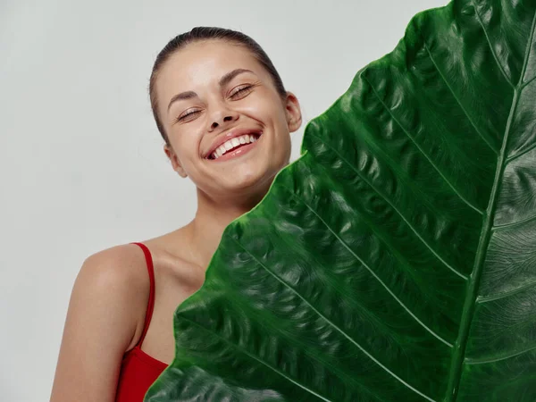 Mujer alegre se para detrás de la hoja verde de la palmera modelo de piel limpia —  Fotos de Stock