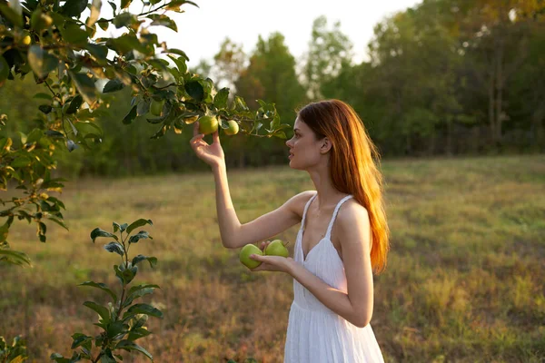 Mujer en vestido blanco al aire libre cerca del manzano —  Fotos de Stock